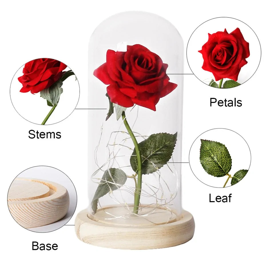 Beauty And The Beast Rose Rose In LED Glass GIFT