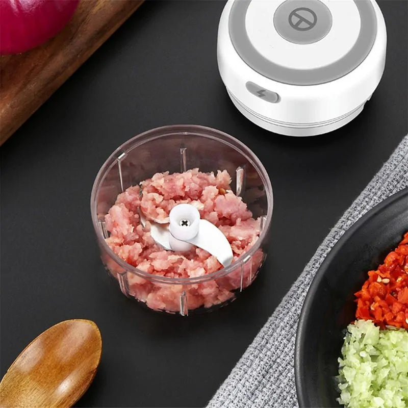 Electric Food Crusher Mini