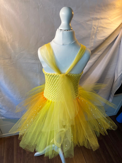 Tutu Dress Tulle & Crochet Dress Up Costume. Glitter Birthday Party with Matching Hairband