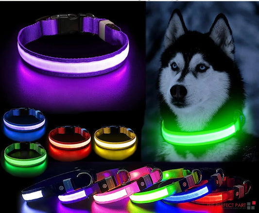 LED Adjustable Dog Collar Blinking Flashing Light Up Glow Pets Safety Waterproof