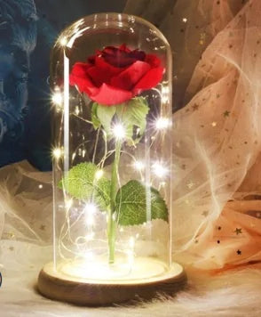 Beauty And The Beast Rose Rose In LED Glass GIFT