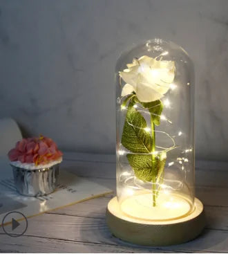 Beauty And The Beast Rose Rose In LED Glass GIFT