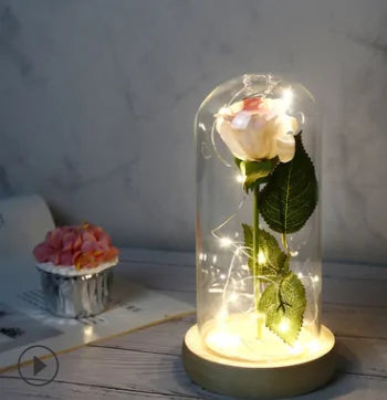 Beauty And The Beast Rose Rose In LED Glass GIFT