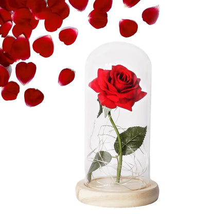 Beauty And The Beast Rose Rose In LED Glass GIFT