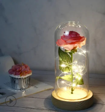 Beauty And The Beast Rose Rose In LED Glass GIFT