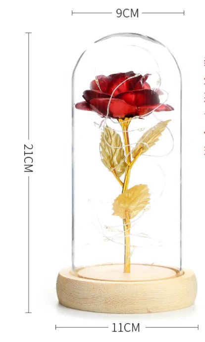 Beauty And The Beast Rose Rose In LED Glass GIFT