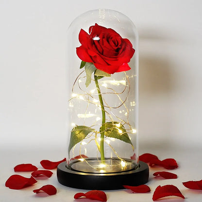 Beauty And The Beast Rose Rose In LED Glass GIFT